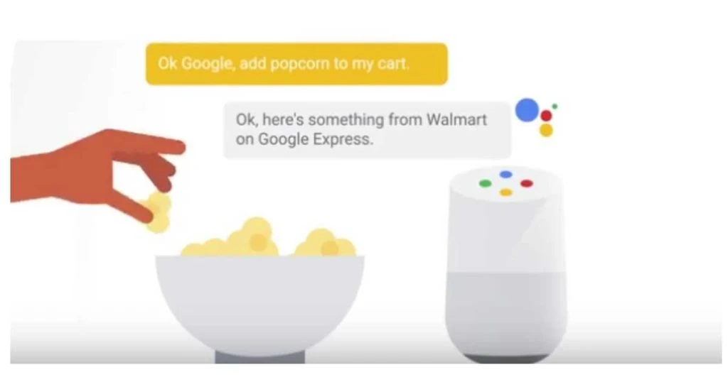 Google Express Google Home